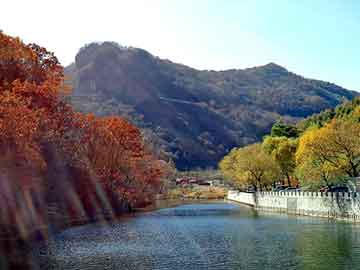 管家婆黑白马报图库，夯实器